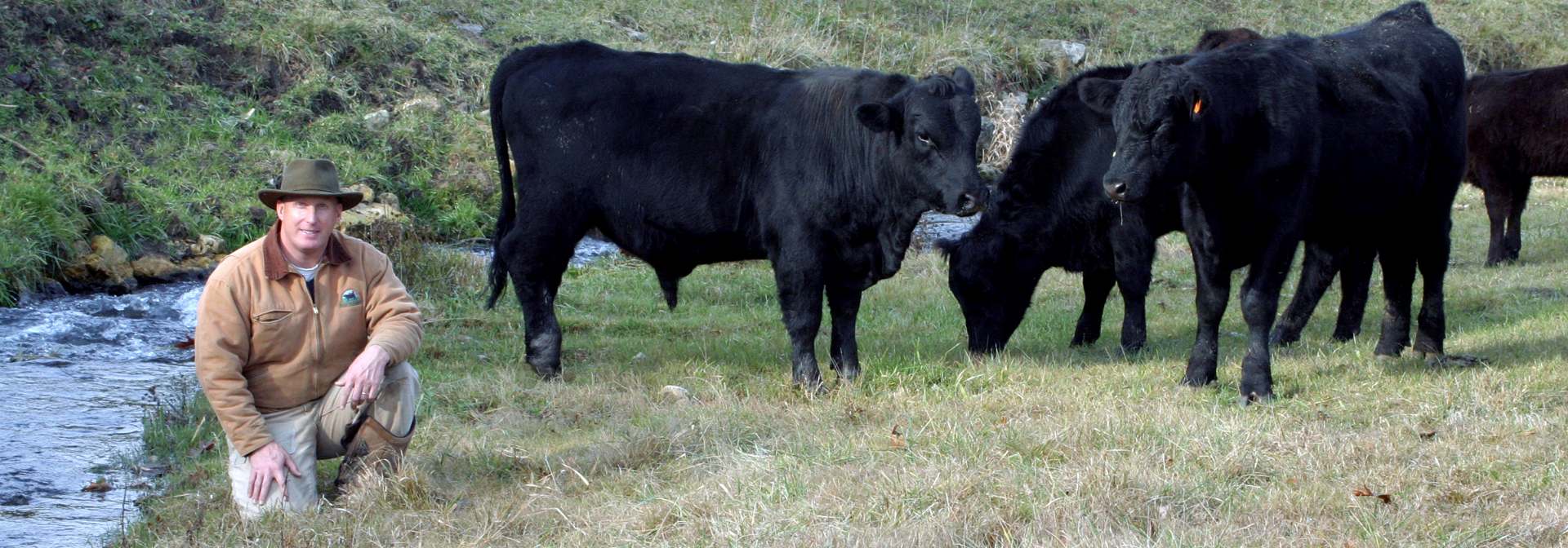 Wisconsin Grass-Fed Beef
