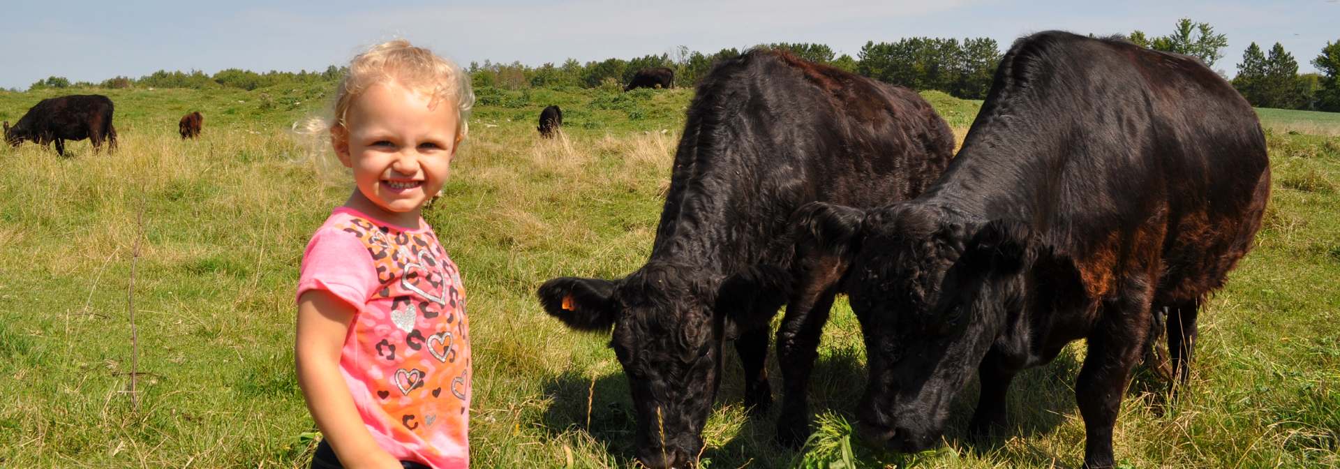 Wisconsin Natural Grass Fed Beef